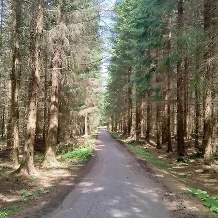 Bohemian Near Lift Stare Krecany