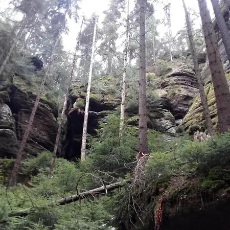 Bohemian Near Lift